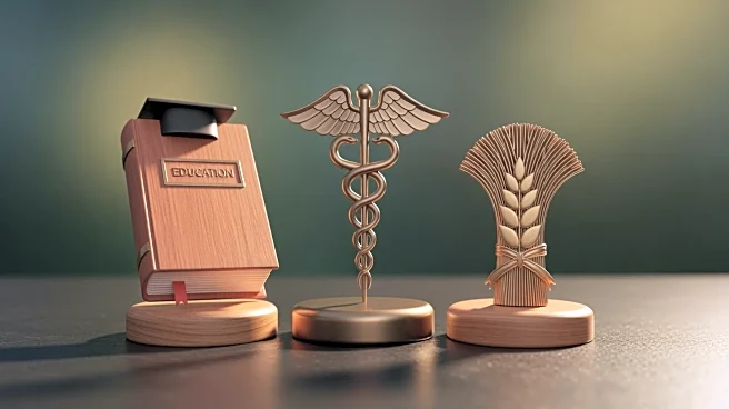 Dominican President Highlights China's Support in Education, Healthcare, and Agriculture