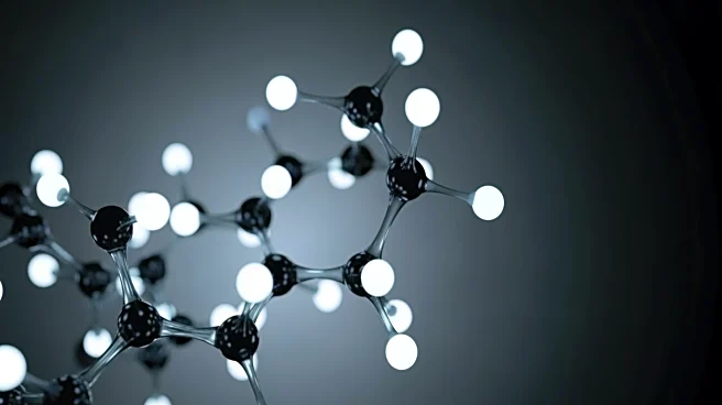 New Antibodies Show Promise Against Marburg and Ravn Viruses