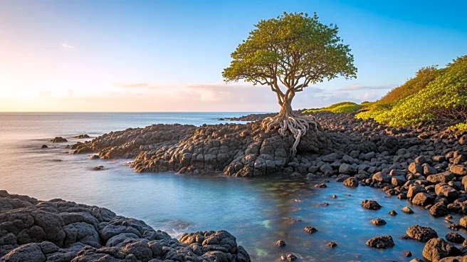 Elizabeth Erasito's Legacy in Conservation and Heritage Management in Fiji