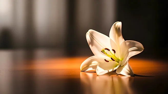 Influencer Melissa Mae Carlton Faces Tragedy with Second Daughter's Death