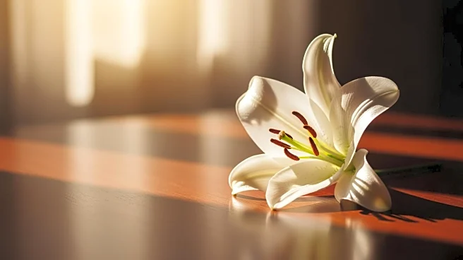 Jeffrey R. Holland, Prominent LDS Leader, Dies at 85 Due to Kidney Disease