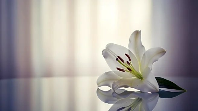 Influencer Melissa Mae Carlton Announces Death of Daughter Year After Other Daughter Died