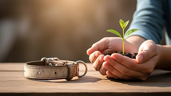 Animal Advocate Intervenes to Save Senior Dog from Euthanasia Amid Owner's Crisis