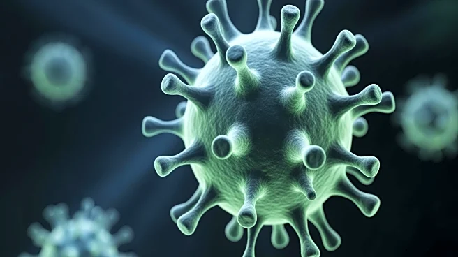 ABC News Highlights Key Information on This Year's Flu Strain