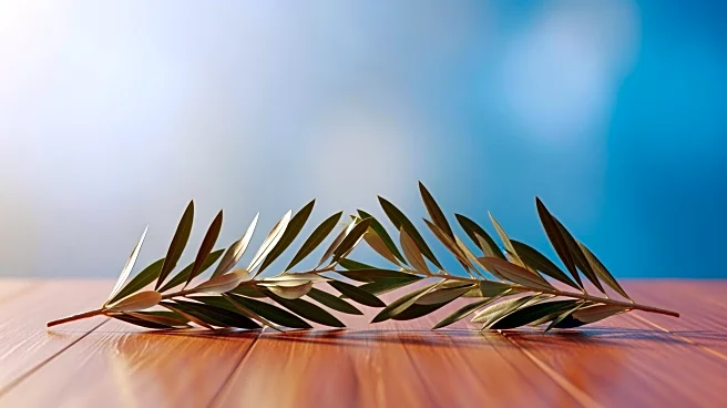 Israel Recognizes Somaliland, Establishing Diplomatic Relations and Ending Isolation