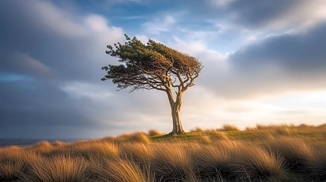 Columnist Reflects on a Year of Personal Growth Amid Political and Social Turmoil