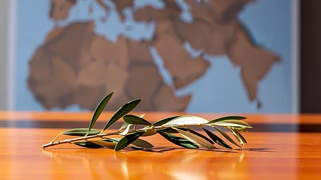 EU Reaffirms Support for Somalia Amid Israel's Recognition of Somaliland