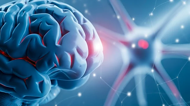 Study Explores Amygdala Subnuclei Differences in PTSD Using Imaging