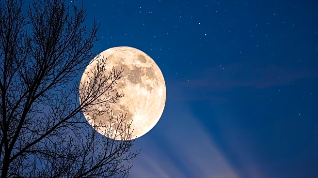 Buck Moon 2025: Viewing Opportunities and Celestial Significance