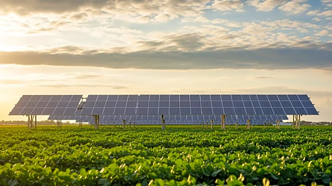 New Jersey Launches Dual-Use Solar Energy Pilot Program to Boost Agrivoltaics