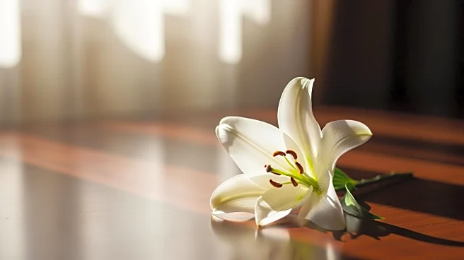 Nigerian President Tinubu Offers Condolences to Anthony Joshua After Fatal Car Crash