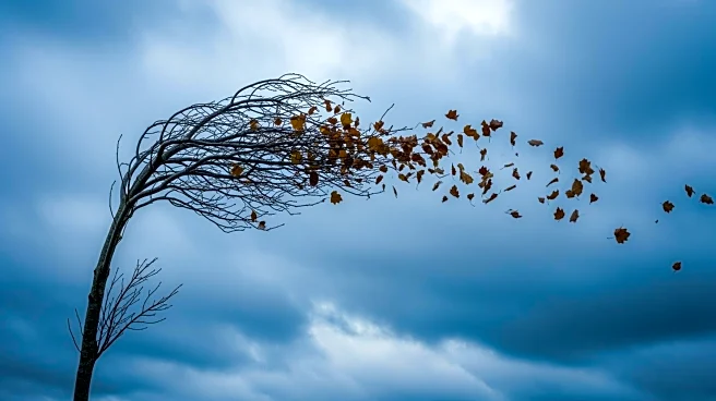 Maryland Braces for Strong Winds and Plummeting Temperatures