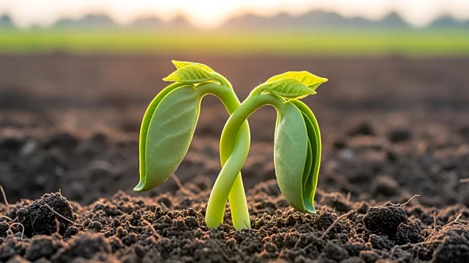 China and Laos Enhance Agricultural Science Cooperation for 2025