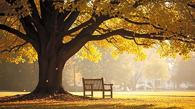 Barbara Zachar, Longtime Clarendon Hills Resident, Passes Away at 83