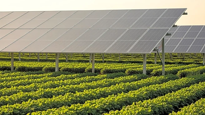 New Jersey Launches Agrivoltaics Pilot Program to Boost Clean Energy and Farming