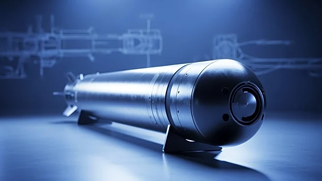 Fincantieri's WASS Secures Major Torpedo Contract with Indian Navy, Enhancing Strategic Presence