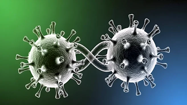 Research Highlights Competitive Viral Interference in Aedes aegypti Affecting Arbovirus Transmission