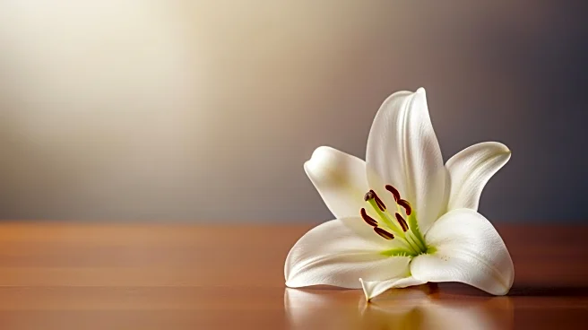 Eugene 'Gene' Thomas Oliver's Passing and Funeral Arrangements Announced