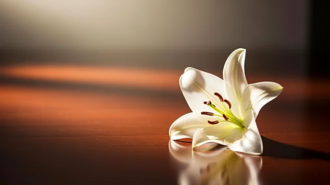 Tatiana Schlossberg, JFK's Granddaughter, Passes Away at 35 Following Cancer Diagnosis