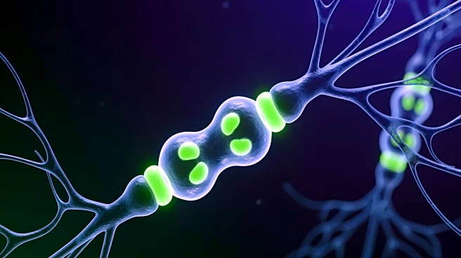 New Brain Receptors Discovery Offers Hope for Alzheimer's Treatment