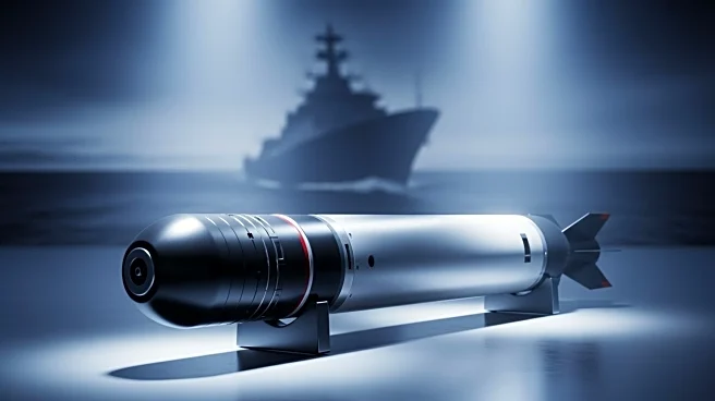 Fincantieri's WASS Secures Major Torpedo Deal with Indian Navy, Enhancing Strategic Presence