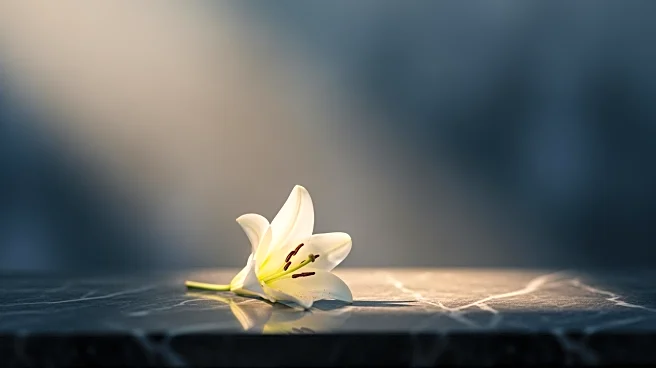 Tatiana Schlossberg Passes Away at 35 After Battling Cancer