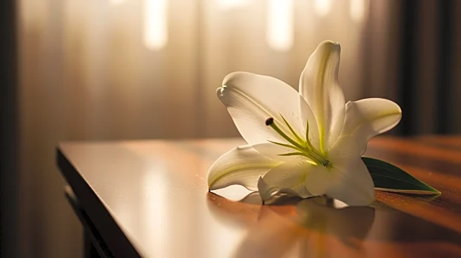 Tatiana Schlossberg, Granddaughter of JFK, Passes Away at 35 After Cancer Diagnosis