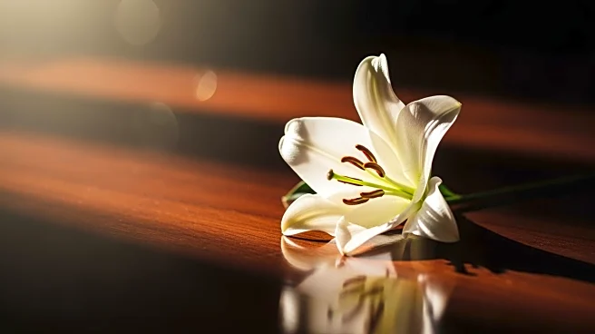 Tatiana Schlossberg, JFK's Granddaughter, Passes Away at 35 After Cancer Diagnosis