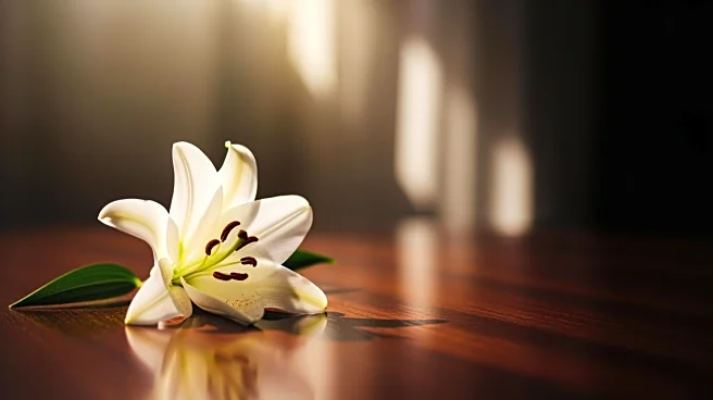 Tatiana Schlossberg, Granddaughter of President John F. Kennedy, Passes Away at 35