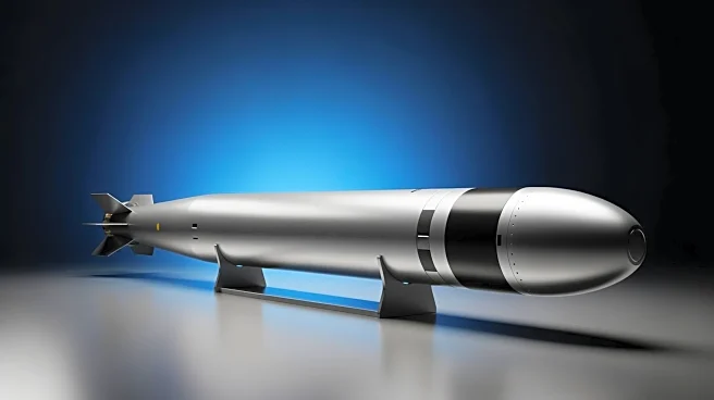 Fincantieri's WASS Secures Major Torpedo Contract with Indian Navy