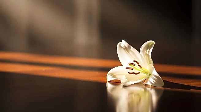 Tatiana Schlossberg, Granddaughter of JFK, Passes Away at 35 After Cancer Battle