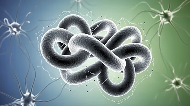 Research Links Periodontal Bacteria to Severity in Multiple Sclerosis Patients