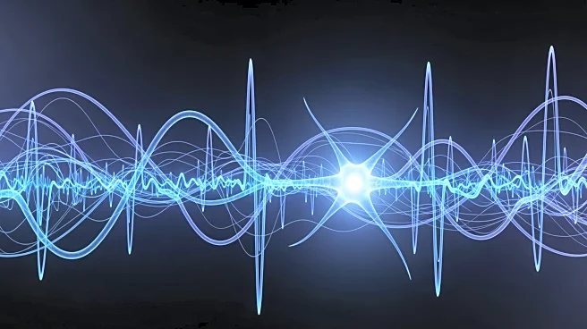 Neuroscience Insights Drive Advances in Adaptive Artificial Intelligence