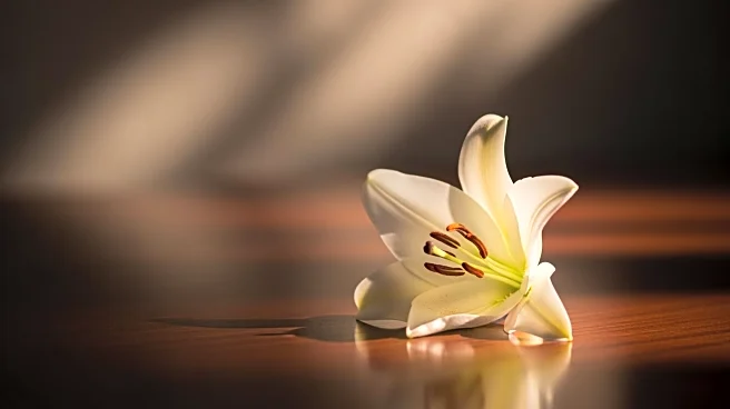 Tatiana Schlossberg, Granddaughter of JFK, Dies After Battle with Cancer