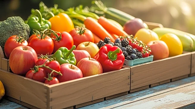 B.C. Government Increases Minimum Wage for Piece-Rate Farmworkers by 2.6%