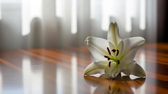 Tatiana Schlossberg, Granddaughter of President Kennedy, Dies at 35