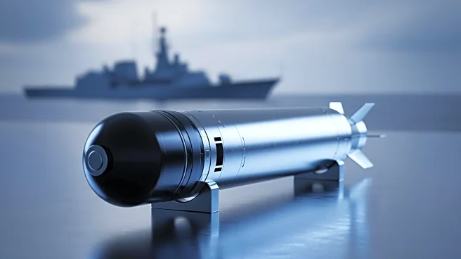 Fincantieri's WASS Secures Major Torpedo Contract with Indian Navy, Enhancing Global Naval Presence