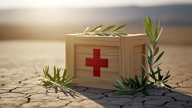 Canada and Allies Urge Israel to Facilitate Humanitarian Aid in Gaza Amid NGO Restrictions