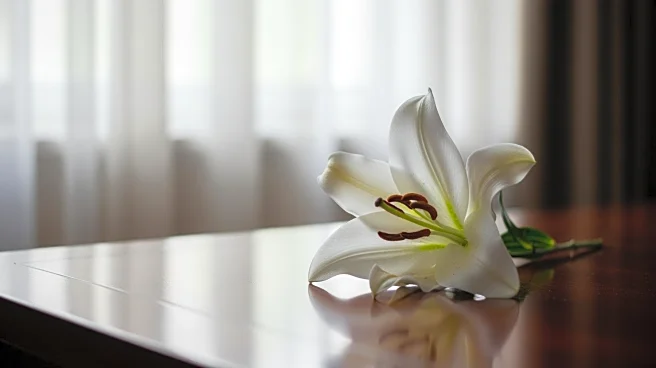 Tatiana Schlossberg, JFK's Granddaughter, Dies at 35 After Cancer Battle