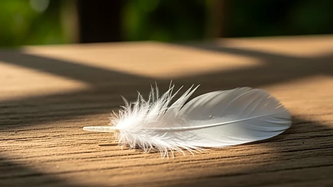 Bird Flu Detected in Dallas County Flock, USDA Urges Biosecurity