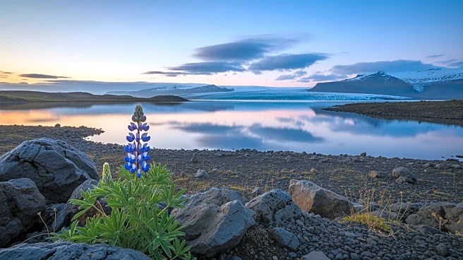 Icelanders Remain Optimistic About 2026 Despite Political Criticism