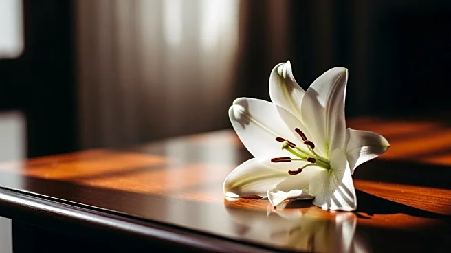 Tatiana Schlossberg, Granddaughter of JFK, Dies at 35 After Leukemia Battle