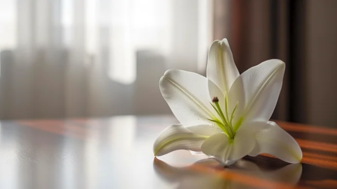 Tatiana Schlossberg, JFK's Granddaughter, Dies at 35 After Leukemia Battle