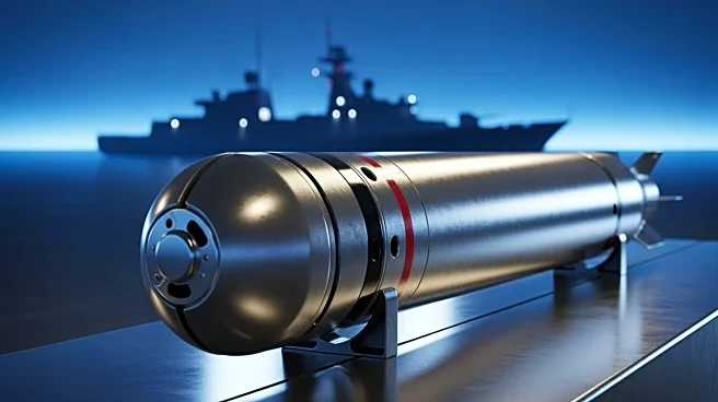 Fincantieri Secures $235M Torpedo Contract with Indian Navy