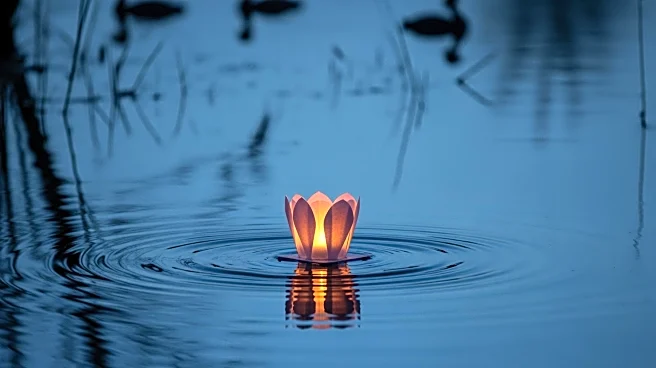 GSPCA Launches Survey on Fireworks Impact on Pets and Wildlife in Guernsey