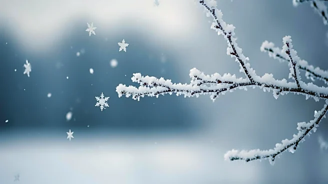 Arctic Front to Bring Snow Showers and Cold Start to 2026 in Washington D.C.