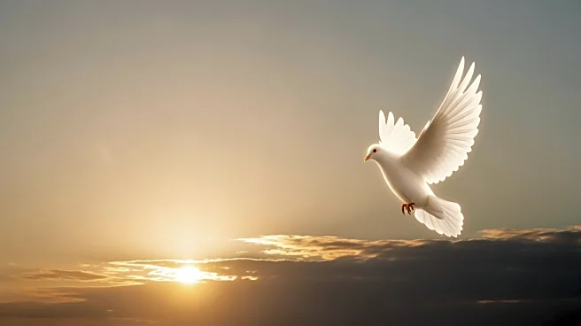 Pope Leo XIV Calls for Peace in First Mass of New Year