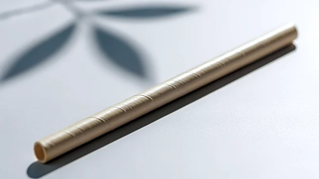 Florida Lawmakers Propose Ban on Paper Straws Due to Health Concerns