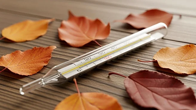 Public Health Jersey Warns Islanders to Stay Vigilant Amid Steady Flu Cases