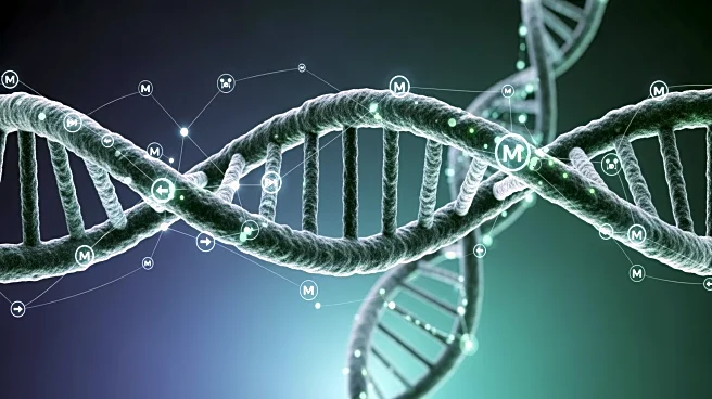 Personalized Medicine Advances with Genomics and Biomarker Integration in Healthcare